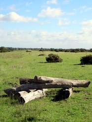 Oct 2013: C14 long view eastwards